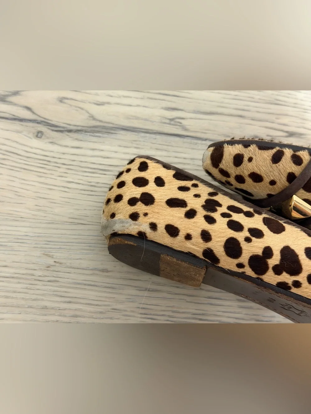 Tory Burch Studded Asher Loafer Animal Print Cheetah Pony Hair Flats 9 M $250